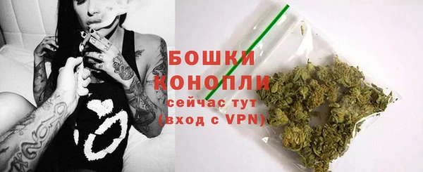 дживик Вязьма