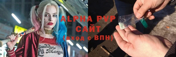 дживик Вязьма