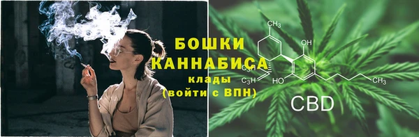 гидра Вяземский
