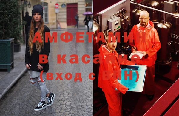 гидра Вяземский
