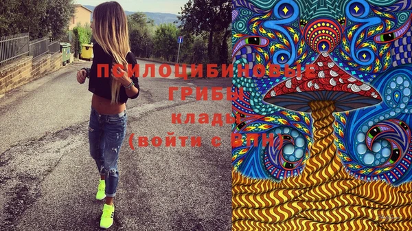 дживик Вязьма