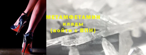 гидра Вяземский