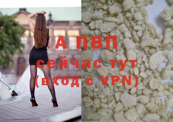 гидра Вяземский