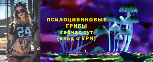 гидра Вяземский