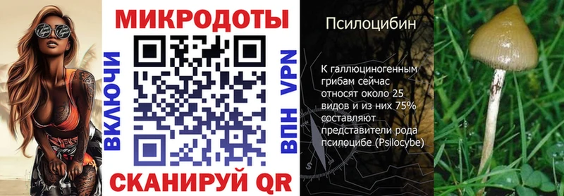 Псилоцибиновые грибы Psilocybe  Купить закладки  Княгинино 